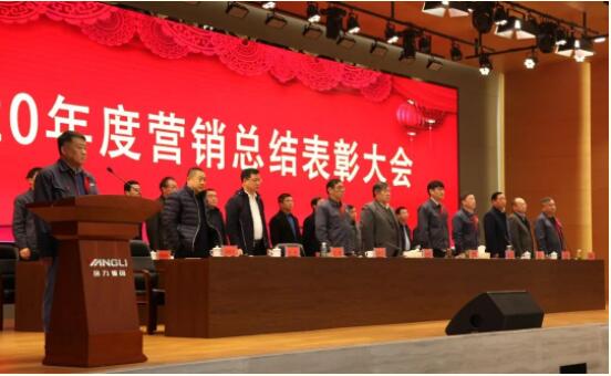 揚力集團2020年度營銷總結(jié)表彰大會圓滿召開！